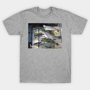 Trout Dinner T-Shirt